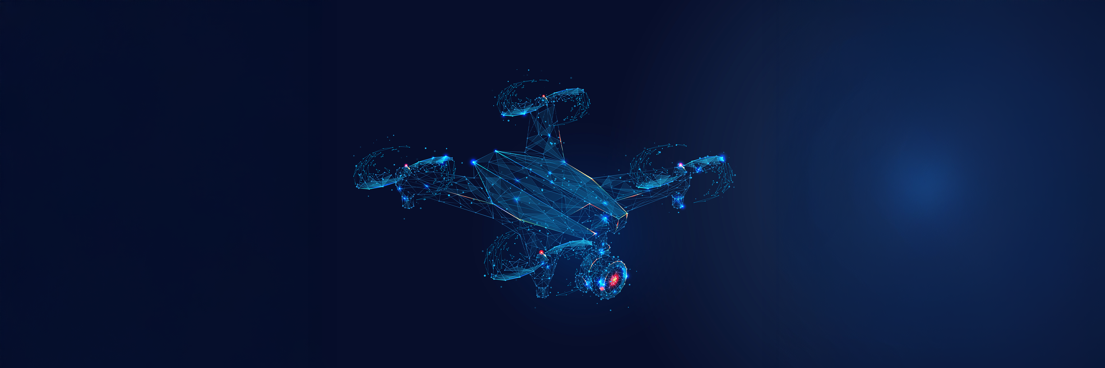 Drone Federation India